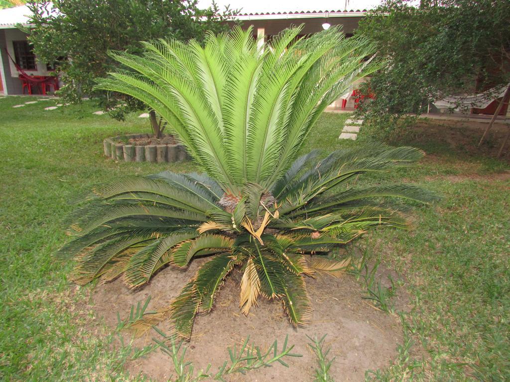Pousada Ipitanga IV Lauro de Freitas Exteriér fotografie